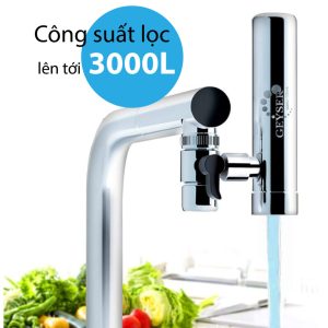 May Loc Nuoc Geyser Tai Voi Euro M31231 2